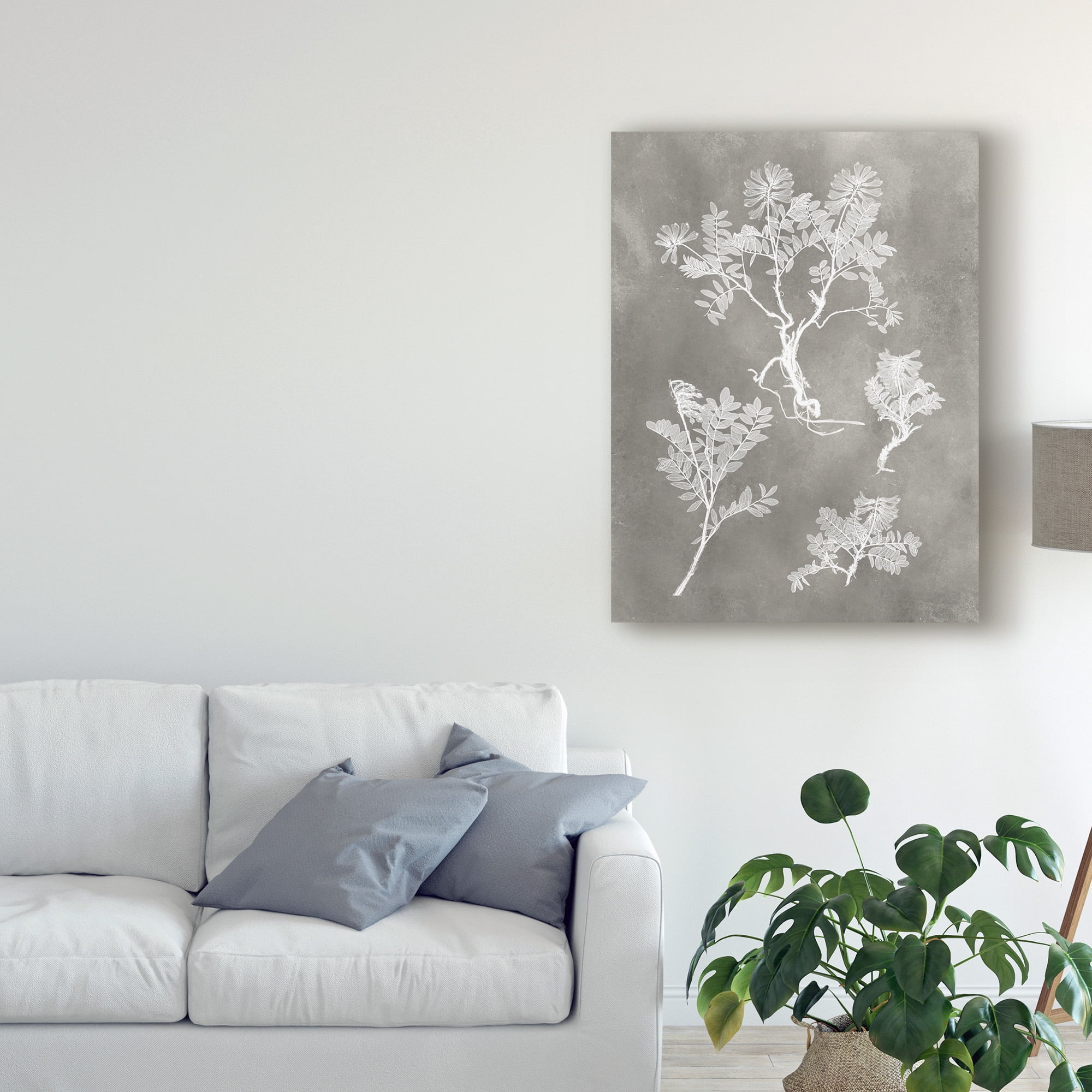 Trademark Fine Art 'Herbarium Study II' Canvas Art by Vision Studio