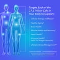 thumbnail image 2 of TRU NIAGEN - Patented Nicotinamide Riboside NAD+ Supplement. NR Supports Cellular Energy Metabolism & Repair, Vitality, Healthy Aging of Heart, Brain & Muscle - 30 Servings / 30 Capsules - Pack of 3, 2 of 8