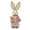 A, variant on Adorable Plush Bunny Toy with Pink Dress and Cardigan Perfect Easter Gift for Kids Soft Stuffed Animal for Playtime Fun