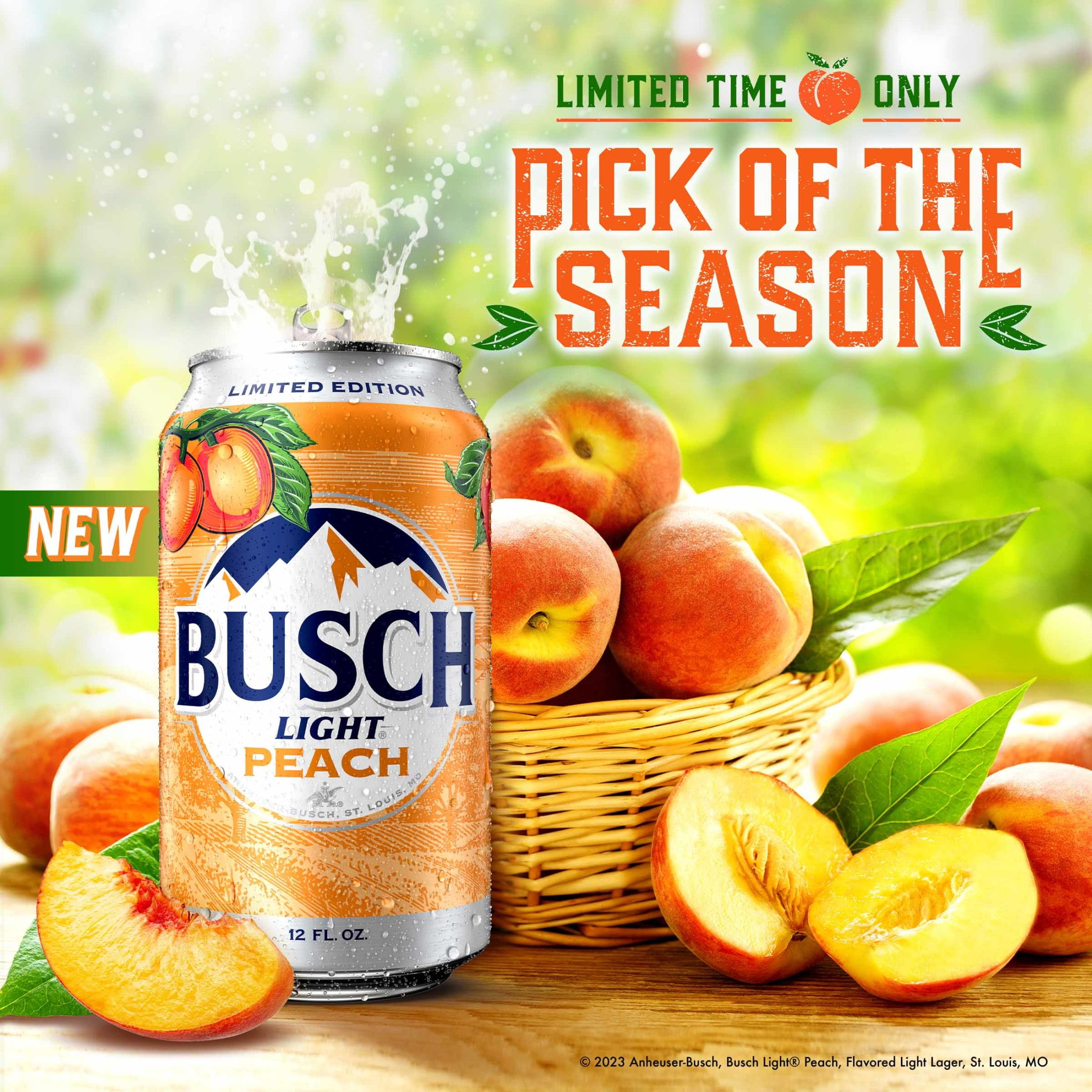 Busch Light Peach Domestic Beer 12 Pack 12 fl oz Aluminum Cans 4.1% ABV