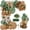 Sage Green Brown, variant on 142PCS Sage Green Brown Balloon Garland Kit Jungle Safari Wild Woodland Balloon Arch Olive Green Gold Coffee Cocoa Balloons for Wedding Birthday Shower Party Decorations