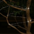 thumbnail image 4 of Pure Garden Outdoor Solar Rope Lights with 100 LED Lights and 8 Modes, 4 of 7