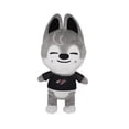 thumbnail image 4 of Sportswear homeless children's plush toys skzoo dolls plush toys pendant dolls for christmas birthday gifts, 4 of 5