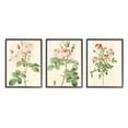 thumbnail image 4 of Stupell Industries Vintage Pink Rose Illustrations with Floral Stem Detail Designed by Ziwei Li, 4 of 5