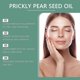 thumbnail image 4 of Cactus Essential Oil, Daily Hair Gentle Moisturizing Whole Body Skin Plant Body Care Massage Essential Oil, 4 of 5