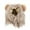 A, variant on DGMIOCS Halloween Pet Lion Mane , Fluffy Dog Hat, Decorative Cat Hat