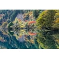 thumbnail image 2 of Berkovits, Dorit 32x23 White Modern Wood Framed Museum Art Print Titled - Double fall, 2 of 4