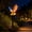 C, variant on Eagle Figurine Solar Garden Stake Light, Eagle Shape Pathway Light, Bright Outdoor Decorative Light, for Garden, Lawn, Patio, Yard, Walkway Courtyard, 1pc