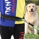 thumbnail image 2 of Cuerda de tracción manos libres para adiestramiento de mascotas (negra), riñonera impermeable y correa elástica para perros, 2 of 8