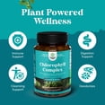 thumbnail image 6 of Natures Craft Cleanse & Detox Chlorophyll Capsules, Internat Cleanser & Deodorizer, 120 Count, 6 of 9