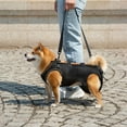 thumbnail image 4 of Pet Assistance Slings Support Harness For Disabled Dog with Adjustable Back Support Breathable for Disabled Breeds, 4 of 9