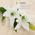 thumbnail image 4 of Planta falsa Monstrate 6 piezas PVC Artificial Lilys Ornamento Blanco Type2, 4 of 6