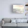 thumbnail image 3 of Sharon Chandler 'Uncharted I' Canvas Art, 3 of 3