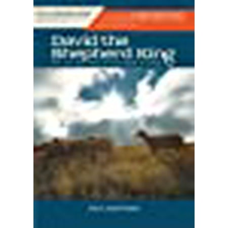 David The Shepherd King The Life And Times Of King David In Israel Following God Walmart David The Shepherd King The Life And Times Of King David In Israel Following God Walmart