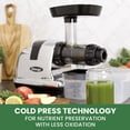 thumbnail image 6 of Omega Cold Press Juicer Machine, Vegetable and Fruit Juice Extractor and Nutrition System Makes Nut Milks Baby Food and Sorbets, Triple-Stage 80-RPM Slow Masticating Juicer, 200-Watts, Chrome, 6 of 13