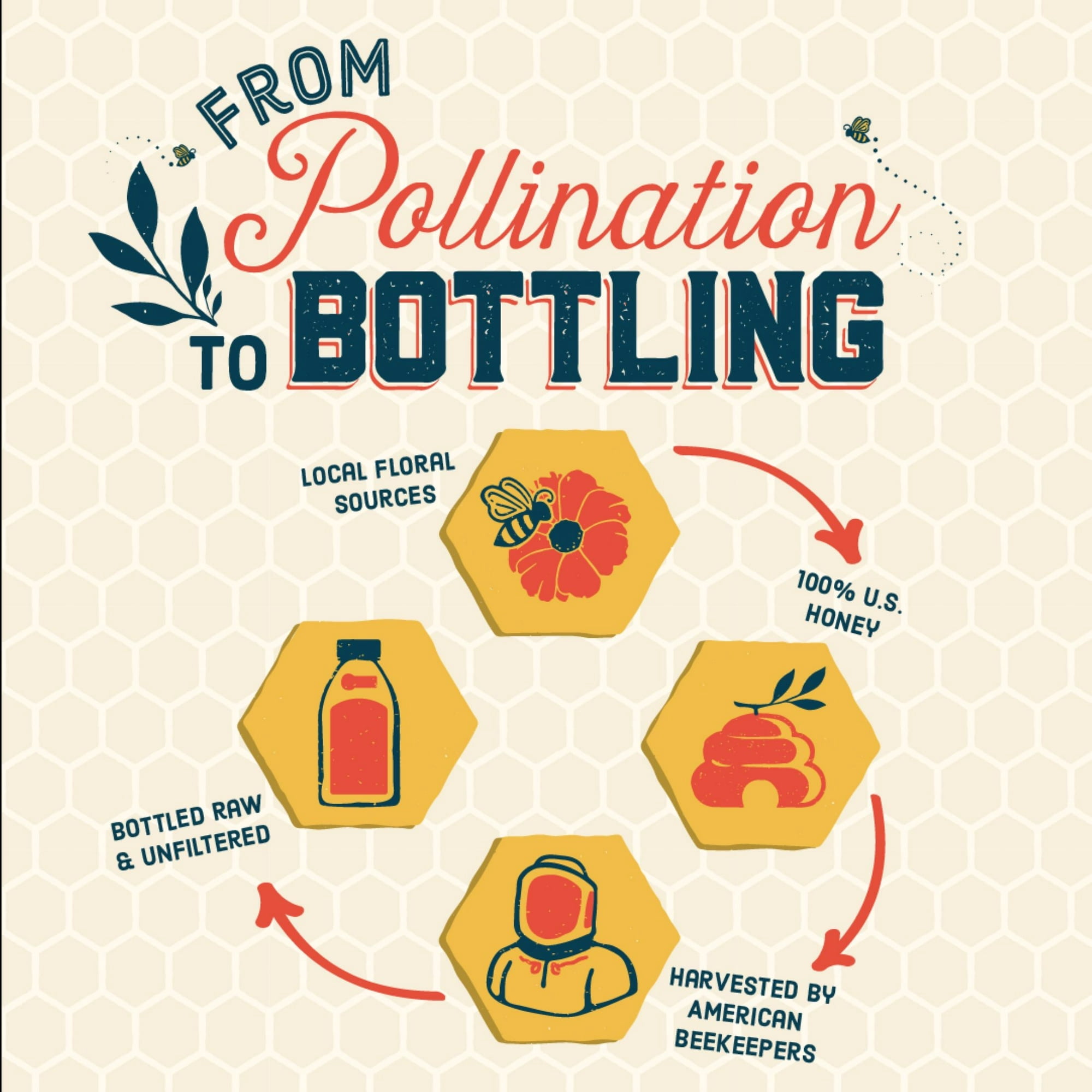 Local Hive, Raw & Unfiltered, Nor Cal Honey, 32oz Bottle