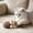C, variant on Catnip and Silvervine Chew, Natural Fishbone Chew Toy for Cats, Fishbone-Shaped Cat Dental Toy for Chewing, Licking, Pawing, Boredom Relief & Enrichment for Cats 