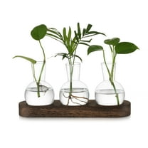 Glasseam Plant Terrarium Propagation Station: Set of 3 Glass Planter Bulb Vase With Wooden Tray Desktop Flower Vase Hydroponics Glass Vase for Plants Cutting
