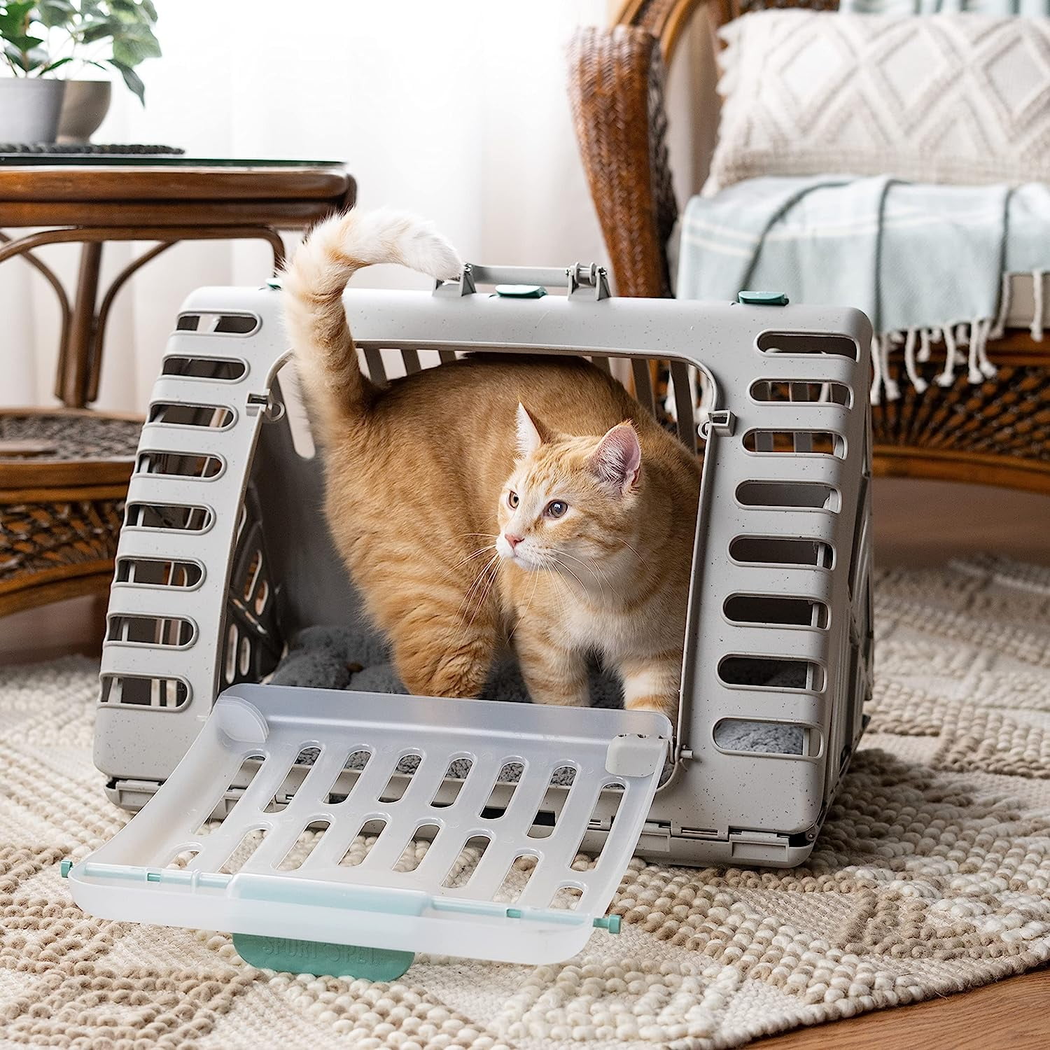SportPet Extra Large Durable Plastic Collapsible Cat Carrier with Water-Resistant Cat Bed