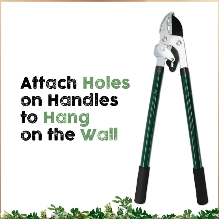 Amtech Telescopic Garden Ratchet Anvil Lopper - Branch Pruner With 3-Year Warranty