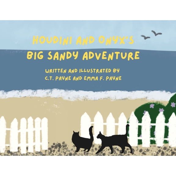 Houdini and Onyx's Big Sandy Adventure, (Paperback)