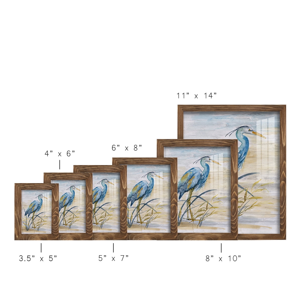 Blue Heron I -Framed Print w/glass-Walnut