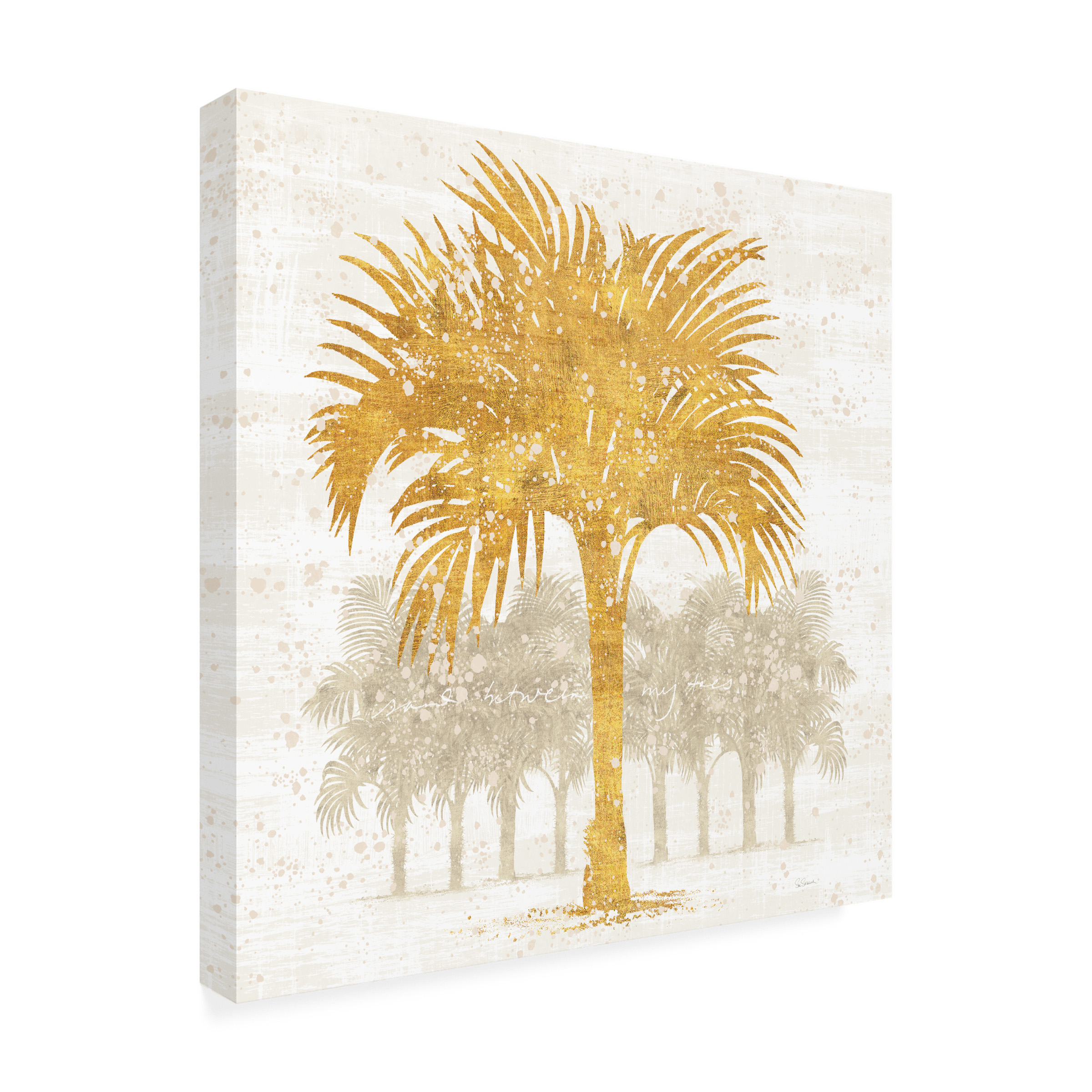 Trademark Fine Art 'Palm Coast IV' Canvas Art by Sue Schlabach