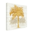 thumbnail image 4 of Trademark Fine Art 'Palm Coast IV' Canvas Art by Sue Schlabach, 4 of 4