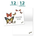 thumbnail image 7 of Tree-Free Greetings Thank You Greeting Card 12 Pack, 4x6, White Butterfly Sympathy (TK61431), 7 of 7