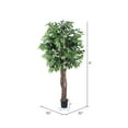 thumbnail image 4 of Vickerman 6' Artificial Ficus Executive, Black Plastic Pot, 4 of 6