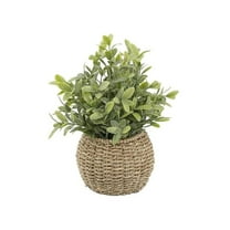 Flora Bunda CS5102E-BRN Tealeaf in 6' Basket
