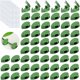 thumbnail image 1 of Clip de fijación de plantas de 60 piezas, Clips de escalada de plantas, Clips de plantas para Cli, 1 of 5