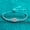 White, variant on D Color 4x6mm 0.5ct Moissanite Promise Bracelets for Women - 925 Sterling Silver Adjustable Chain & Valentine's Day Jewelry Gift - Passes Tester
