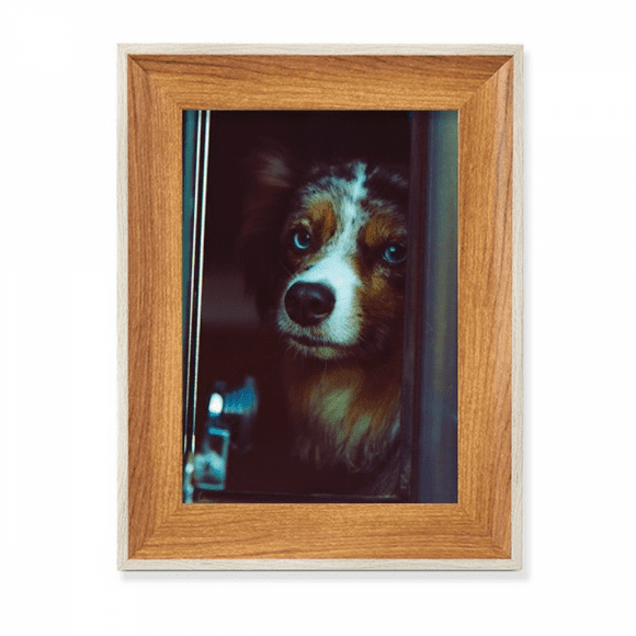 dog pet animal lly picture desktop wooden photo frame display picture art painting multiple sets