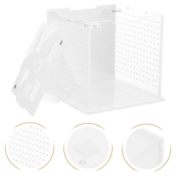 Baluue Jumping Spider Starter Kit Reptile Feeding Box Acrylic 1Set