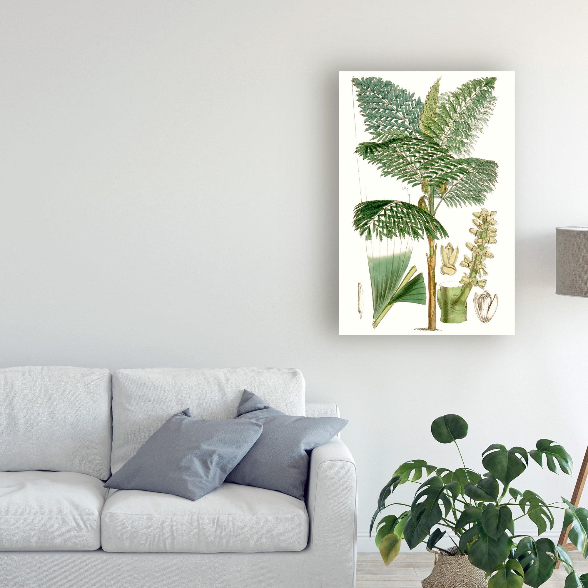 Trademark Fine Art 'Curtis Palms II' Canvas Art by Curtis