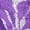 Purple, variant on Lingerie for Women Hollow Embroidered Low Waist Thong Side Open Stretch Underwear Babydoll Breathable Panties