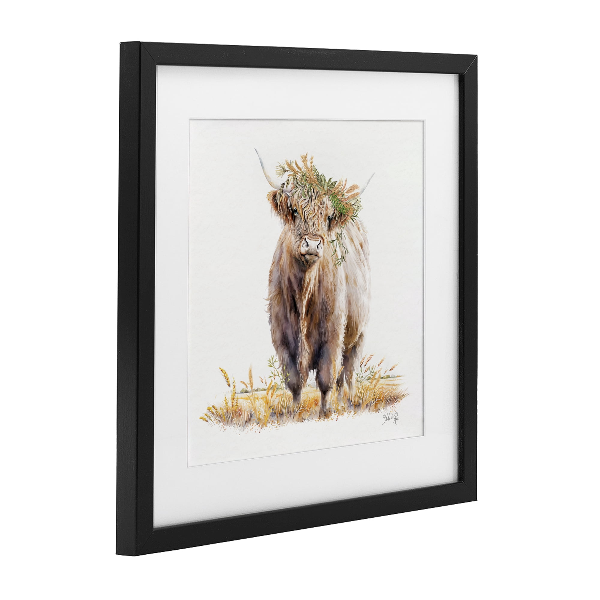 Stupell Industries Ollie the Highland Cattle Black Framed Print Under Glass, design by Marla Rae