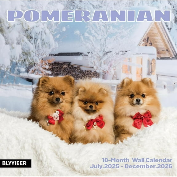 2025-2026 Wall Calendar,Pomeranian Wall Calendar, 12" x 24" Open,Family Planner Calendar Organizer with Pomeranian Images, for Dogs Lovers