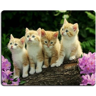 Kitten Flower Cute Funny Group Cat Animal Pet Mouse Pads Customized