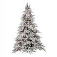 thumbnail image 1 of Vickerman Flocked Utica with 550 Light, 6.5-Feet by 59-Inch, Multicolored, A895167LED, 1 of 4