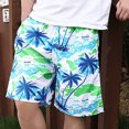 thumbnail image 4 of Puntoco Pantalones Cortos Con Estampado Hawaiano Para Hombre, Pantalones Cortos Con Bolsillo Y Cordón, Color S, Pantalones Cortos Hombre, 4 of 4