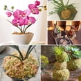 thumbnail image 5 of ZeeDix 1.1LBS Premium Sphagnum Moss for Plants, 25QT Natural Long Fibered Orchid Moss Sphagnum Peat Moss Bulk for Carnivorous,Orchid,Sarracenia,Succulent,Venus Fly Traps and Reptiles, 5 of 8