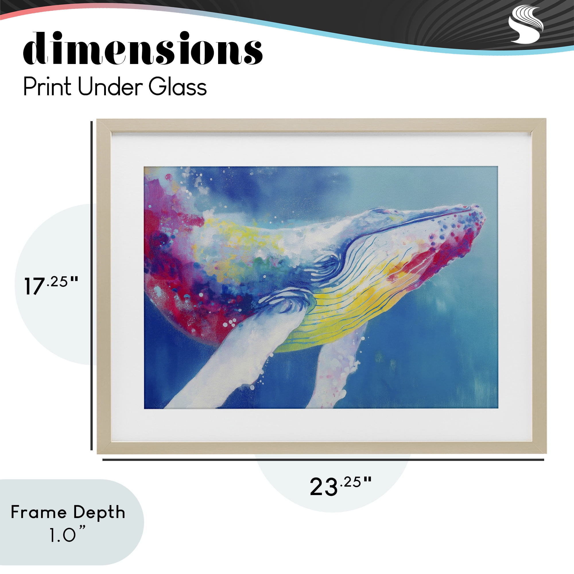 Stupell Industries Breaching Humpback Whale Birch Framed Print Under Glass, design by Chromatic Storm Studio