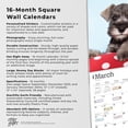 thumbnail image 5 of SCHNAUZER PUPPIES THE BEAUTY OF 2024 SQU, 5 of 8