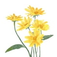 thumbnail image 2 of Bannarot 15x15 White Modern Wood Framed Museum Art Print Titled - Wildflower  Group I, 2 of 4
