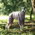 thumbnail image 3 of Outdoor Winter Coat for Dogs All-Season Warmth and Comfort for Four-Legged in Autumn and Winter, 3 of 7