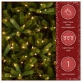 thumbnail image 5 of National Tree Company 7.5 ft Pre-Lit Jersey Fraser Fir Medium Artificial Christmas Tree, 1,000 Clear Lights, 2,696 Tips, Includes Stand, Green, 5 of 11