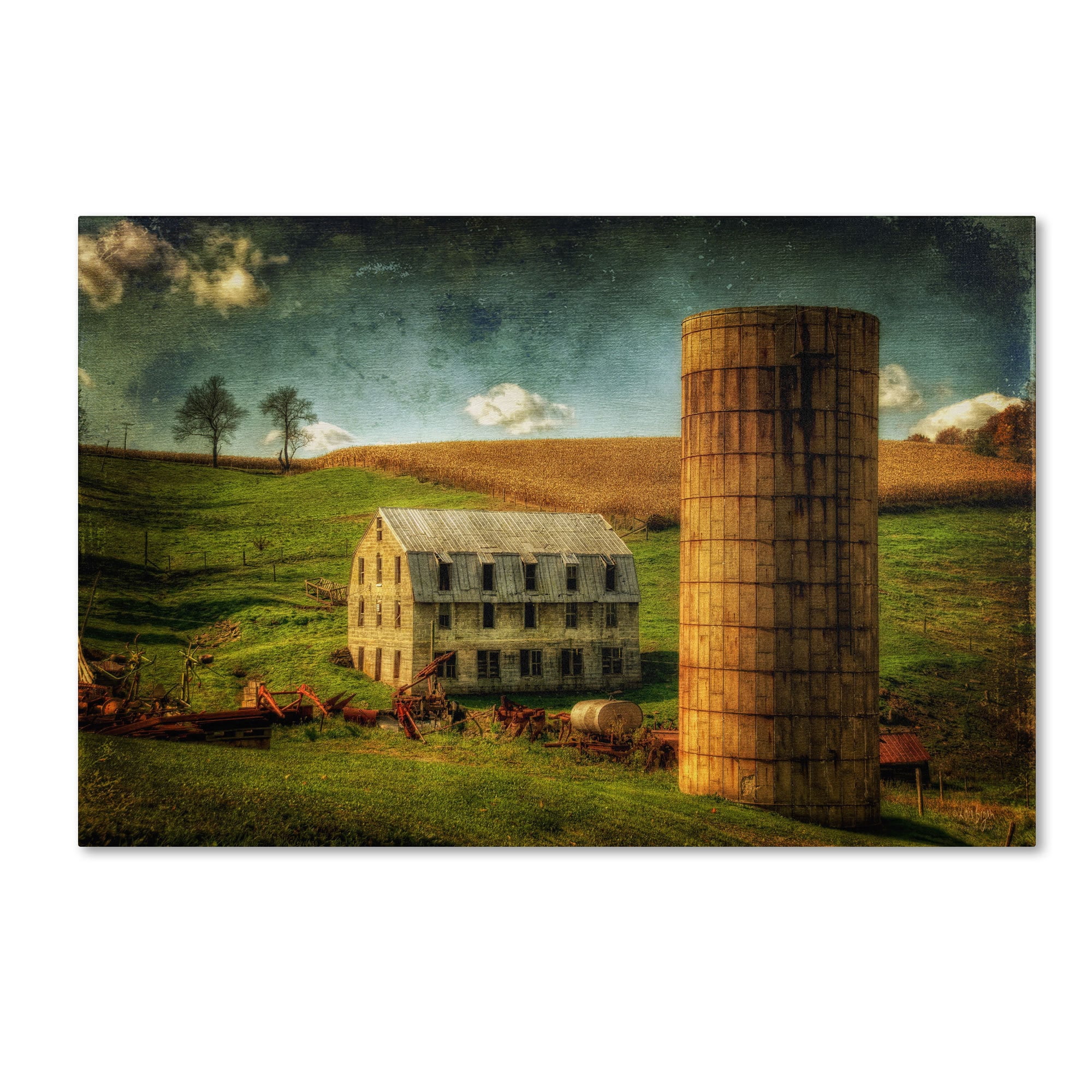 Trademark Fine Art "His Pride and Joy" Canvas Art by Lois Bryan