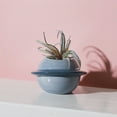 thumbnail image 6 of SPRING PARK Mini Succulent Planter Glazed Ceramic Miniature Flower Pot Bonsai yard Decor, 6 of 7